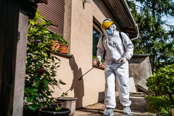 Best Commercial Pest Control Services  in Apopka, FL