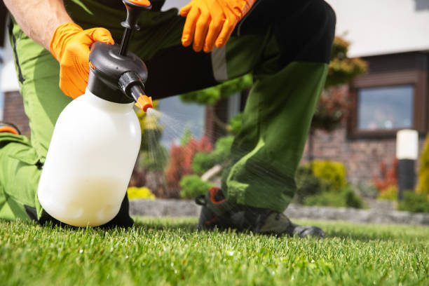 Wildlife Control Services in Apopka, FL